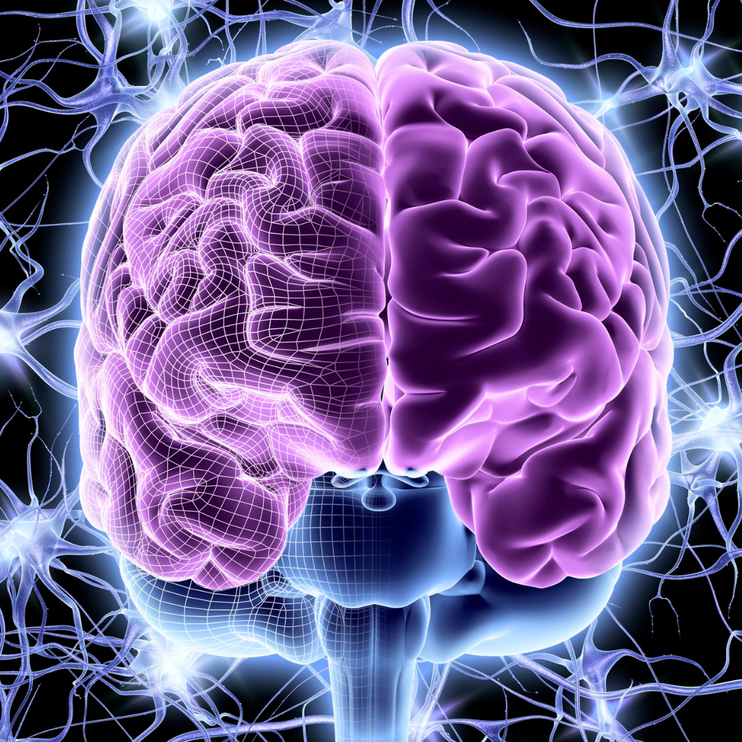 Illustration of purple brain with synapses