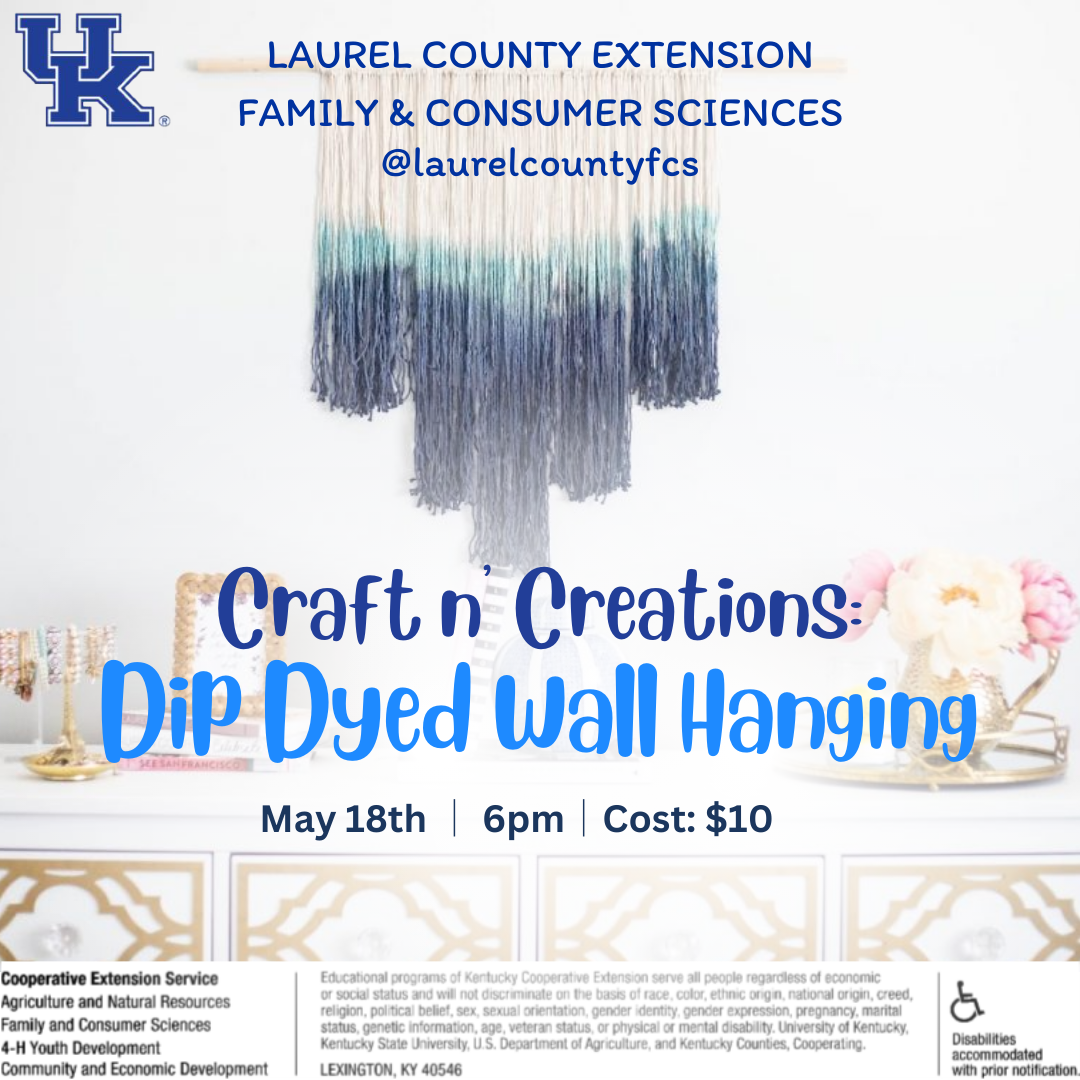 Dip Dyed Wall Hanging (Craft n' Creations)