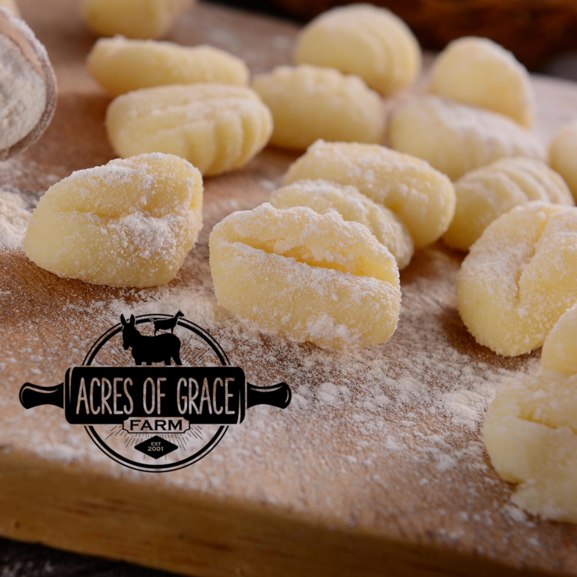 Photo of raw gnocchi with branding.