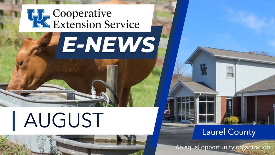 August ENEWS Header