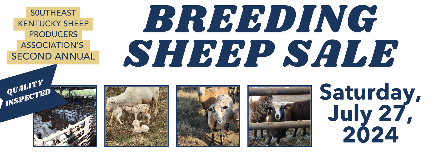 Second Annual Breeding Sheep Sale July 27, 2024