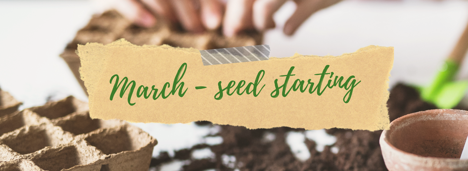 March - seed starting