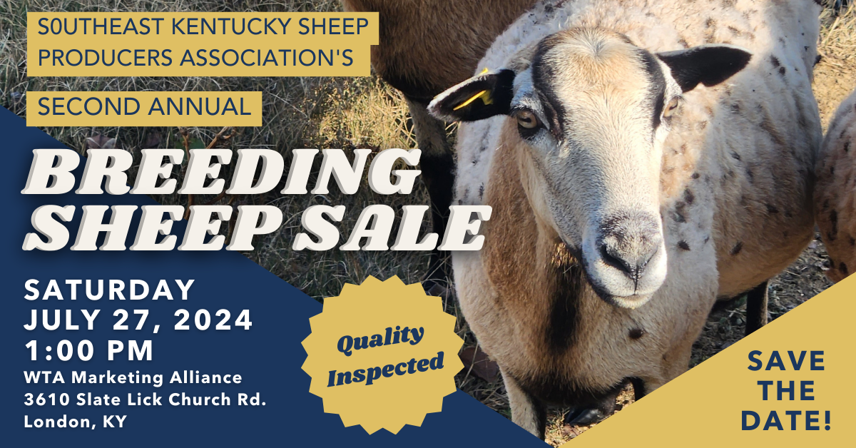 SEKSPA Breeding Sheep Sale | July 27 1 PM @ WTA Marketing Alliance