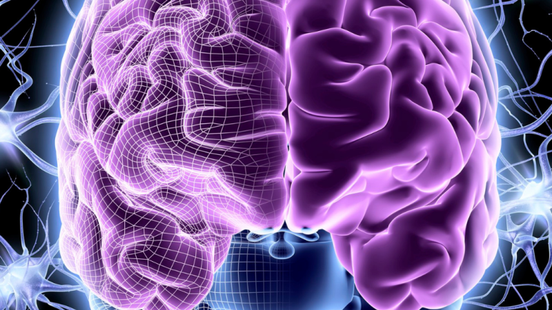 Illustration of purple brain with synapses