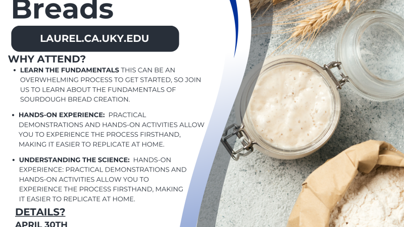 Flyer detailing class details such as date, time, and description. Background includes a sourdough starter in a jar, a bag full of flour, and wheat.