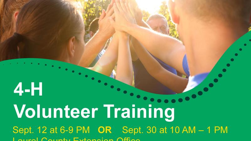 4-H Volunteer Training